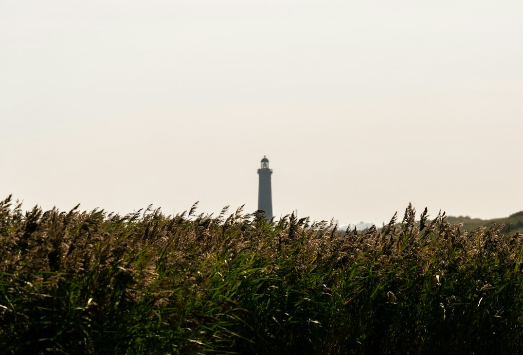 Lighthouse and dunes at Skagen, the northern tip of Denmark