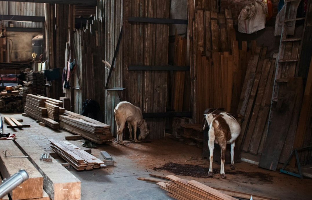 Danish craftsman working with wood in a small workshop