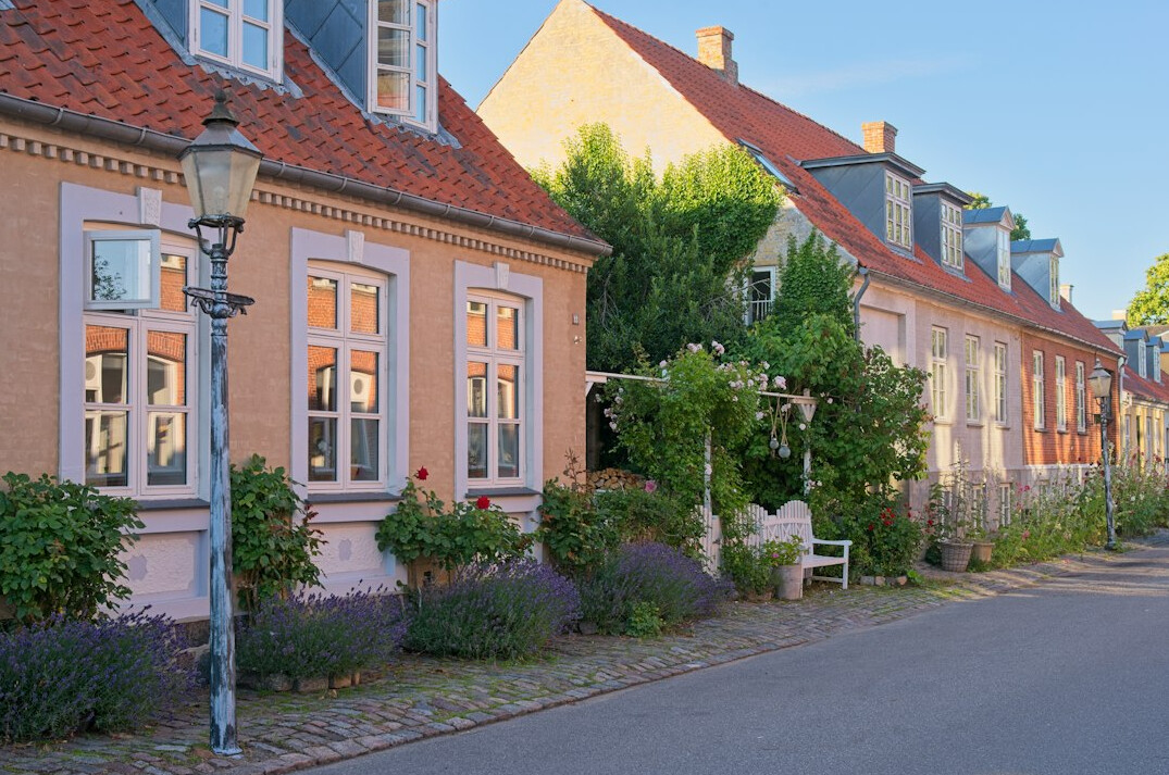 young man in danish village